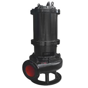 QW Sewage pump