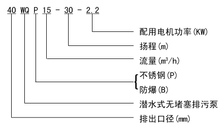 WQP不锈钢排污泵型号示意图