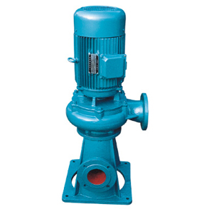 LW Vertical sewage pump